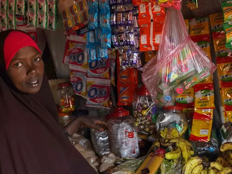 Lady sitting in bazaar